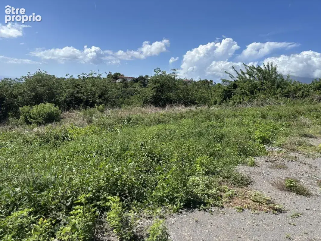 A vendre : terrain 750m² au carbet (97221) - photo 4
