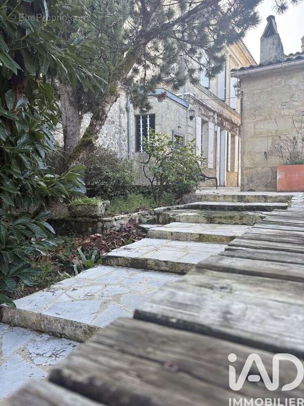 Maison 340 m² à Francs  - photo 3