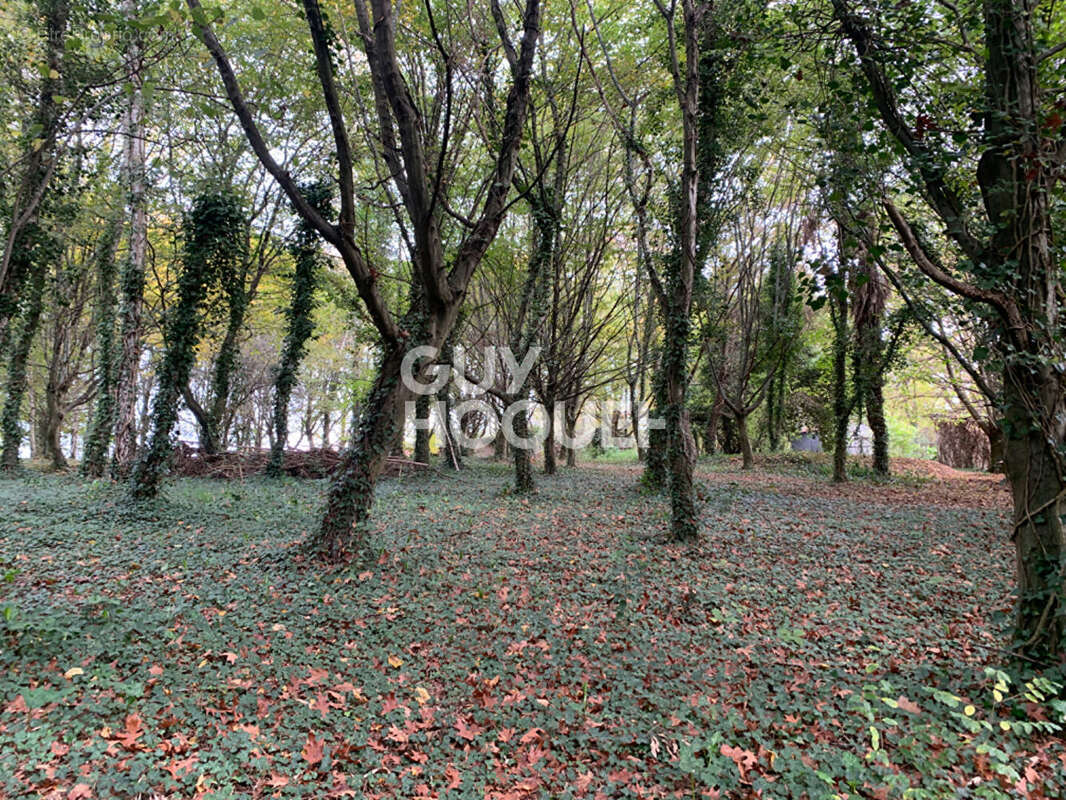 Terrain à CASTILLON(CANTON D&#039;ARTHEZ-DE-BEARN)