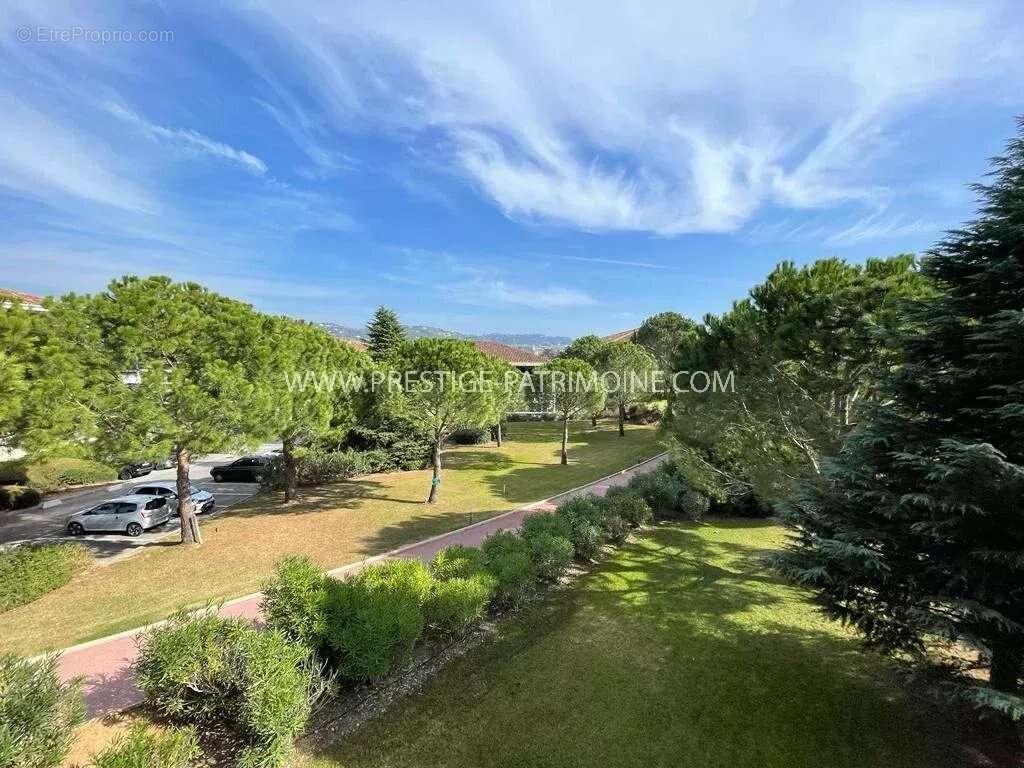Cannes grand parc - rez de jardin - photo 10
