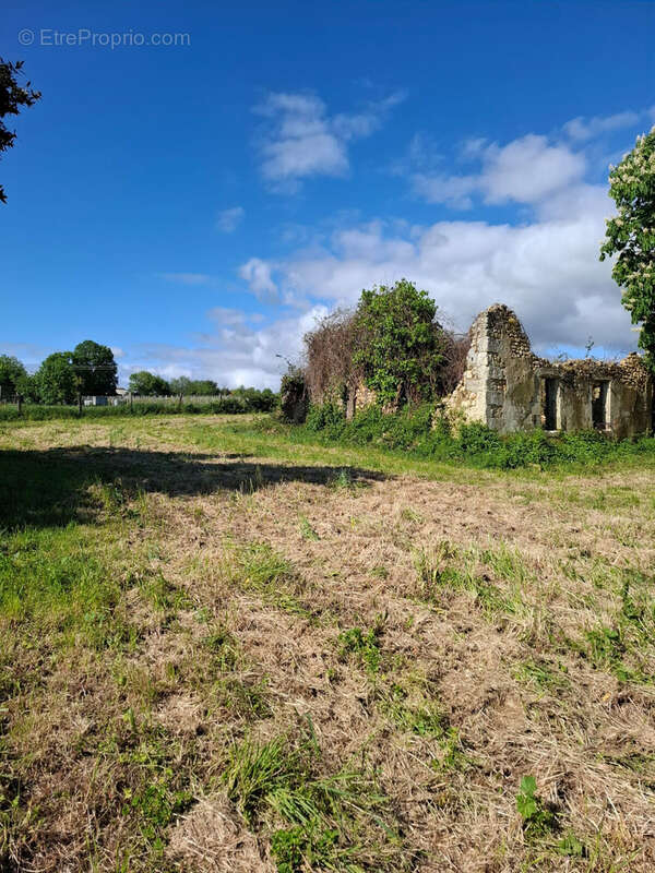 Terrain à SAINT-GEORGES-DES-AGOUTS