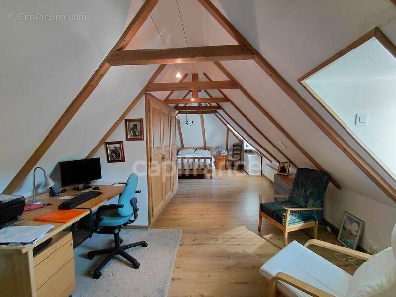 Maison à VIEILLEVIE