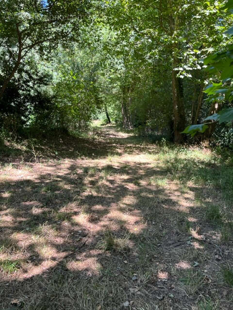 Maison à MOUSSOULENS