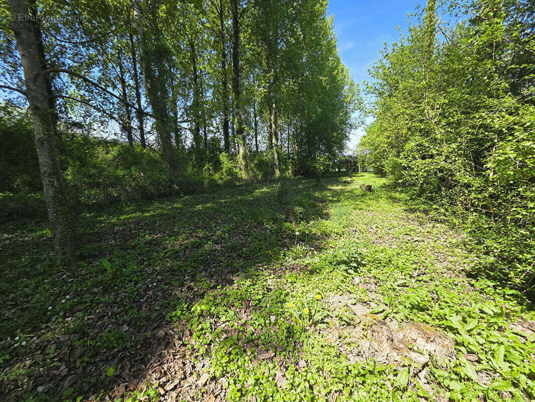 Terrain avec Mobil-Home 20 m2 - terrain 1600 m2 - Villiers Sur Seine - photo 5