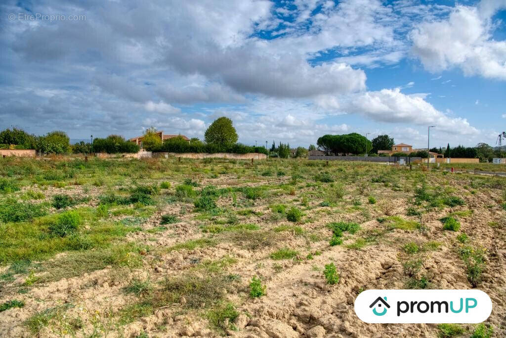 Terrain à VILLESEQUELANDE