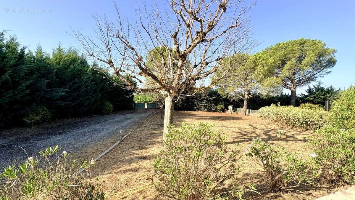Villa avec dépendances au milieu des vignes à Gigondas - photo 5