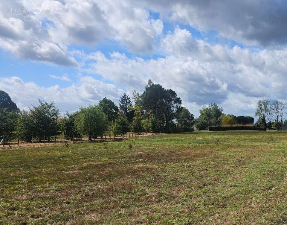 Terrain à VILLANDRAUT