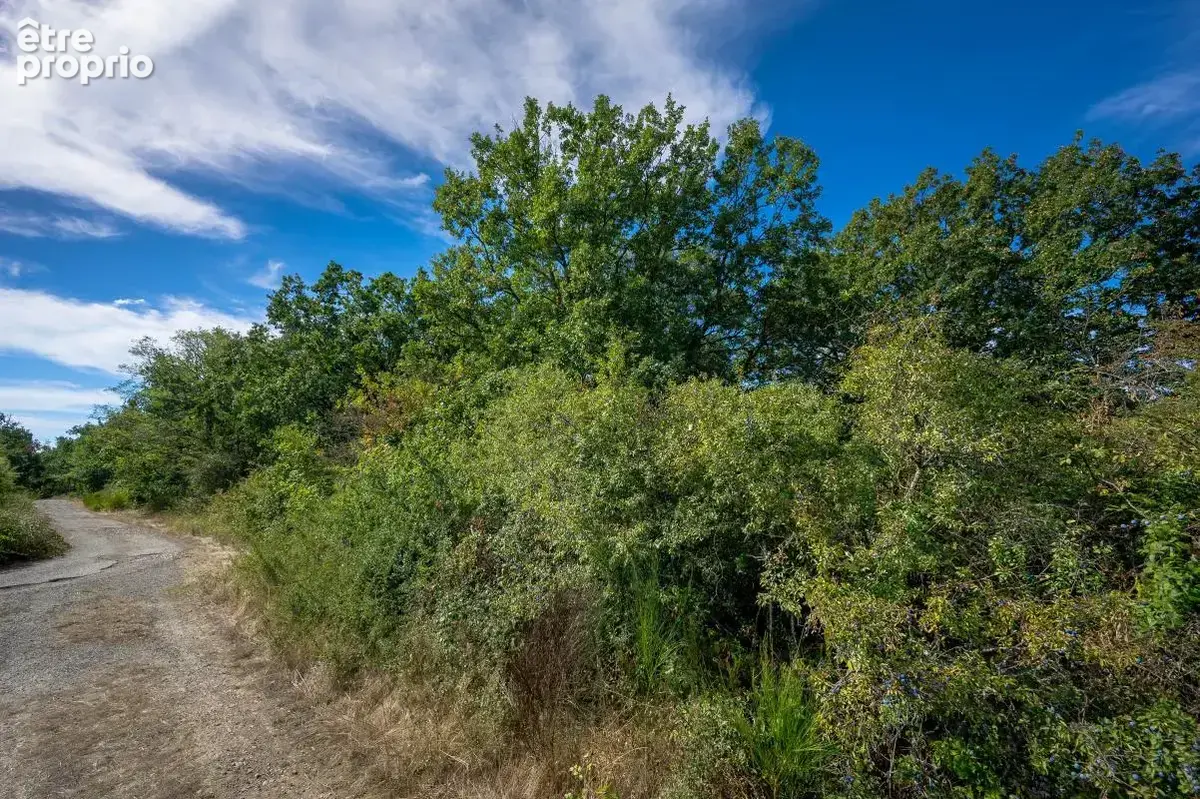 Terrain - 26 610 m² - Aussonne (31) - photo 6