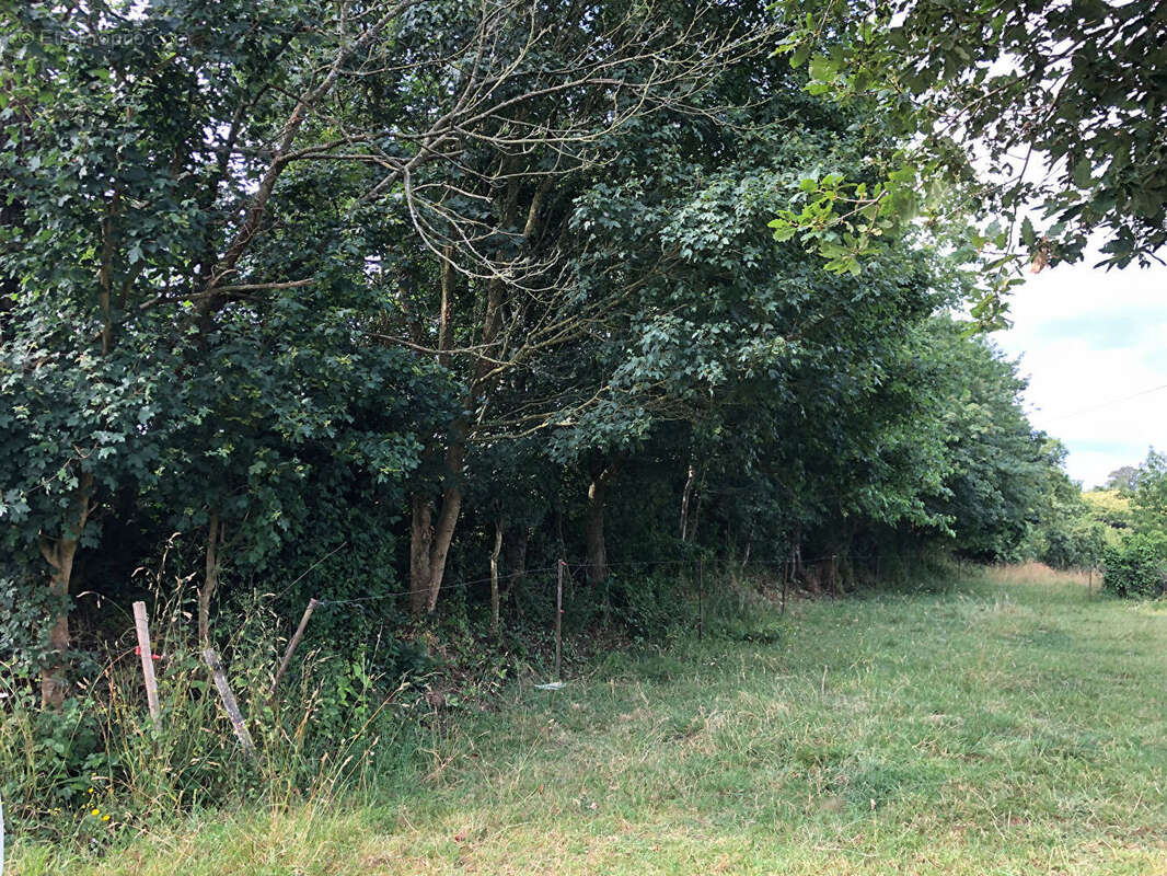 Entrepôt / Local industriel 385m² à vitré - photo 4