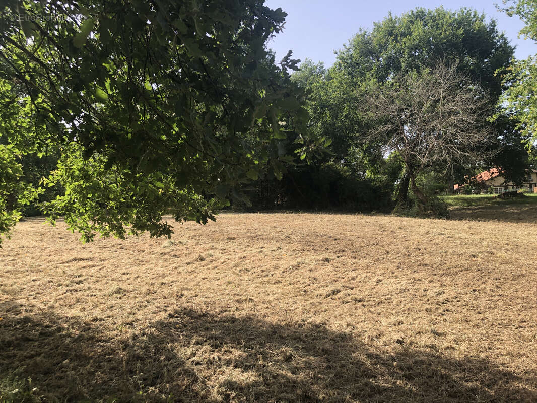Terrain à CAZAUBON