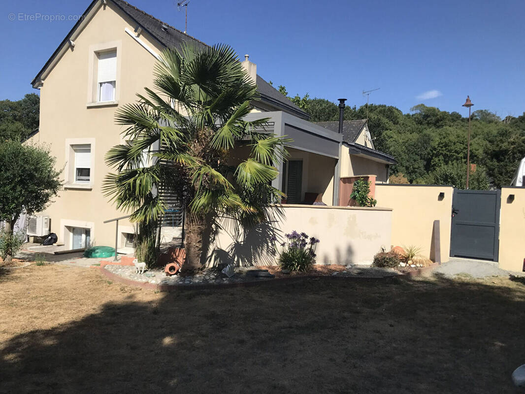Maison à POUANCE