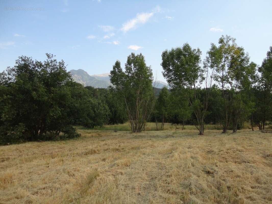 Dpt Pyrénées Orientales (66), à vendre PRADES Terrain constructible 421 m², 3 faces, libre constructeur - photo 2