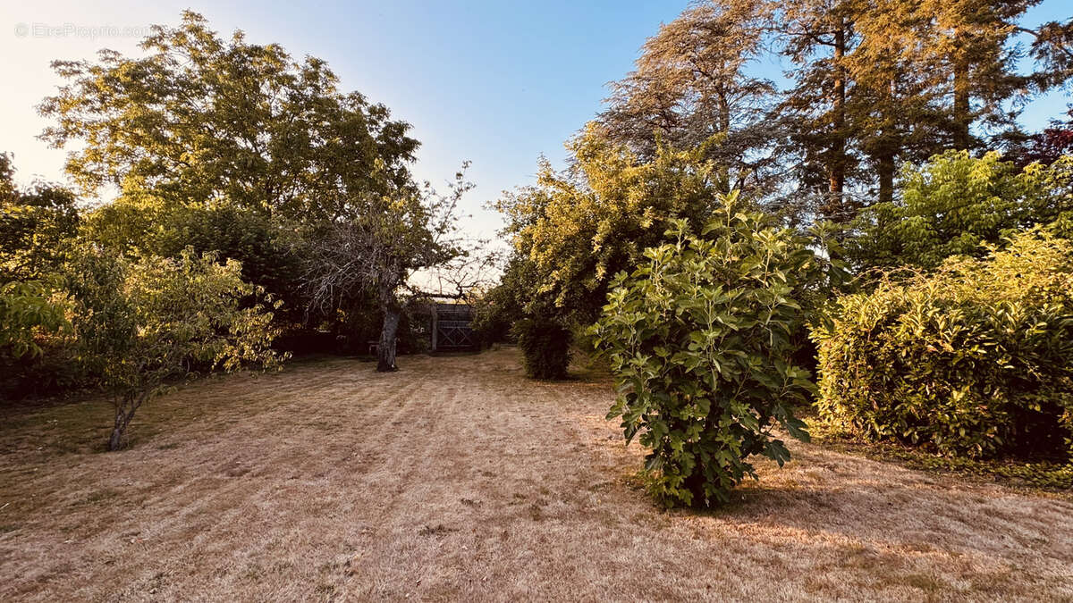Vente en Exclusivité à Pontaubert - Charmante Maison de caractère avec jardin de 1467 m2 au prix de 235 400 €. - photo 21