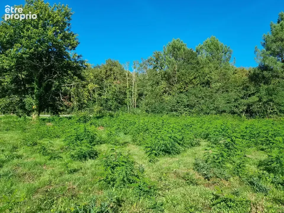 Terrain 1 020 m² à vendre à Saint-Aubin-De-Medoc (33160) - photo 3