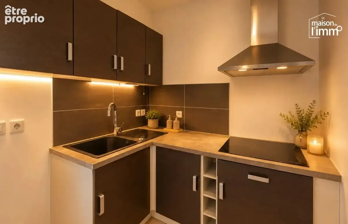 Appartement t2bis - a vendre - thonon les bains - photo 3
