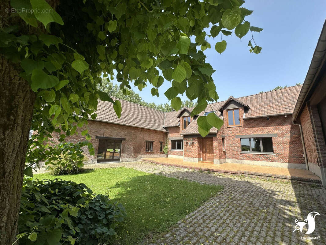 Maison à NIEPPE