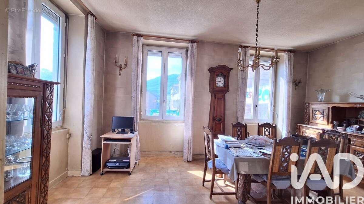 Photo 9 - Maison à SAINT-ROMAIN-DE-POPEY