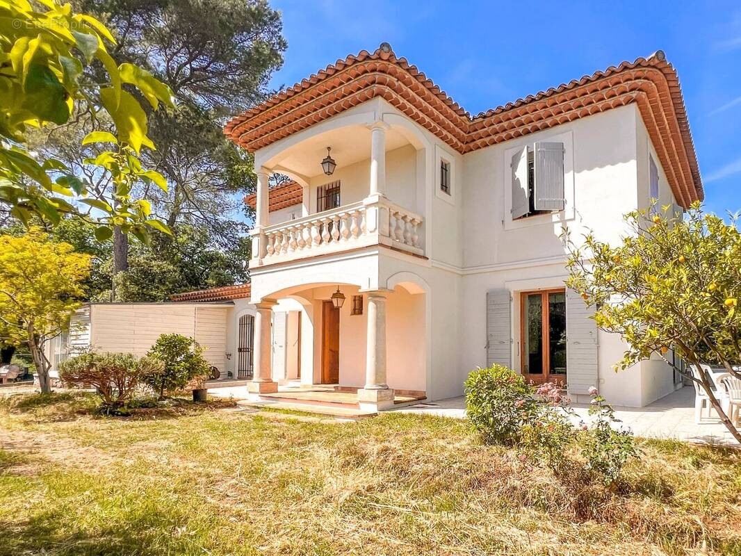 Maison à ROQUEFORT-LES-PINS
