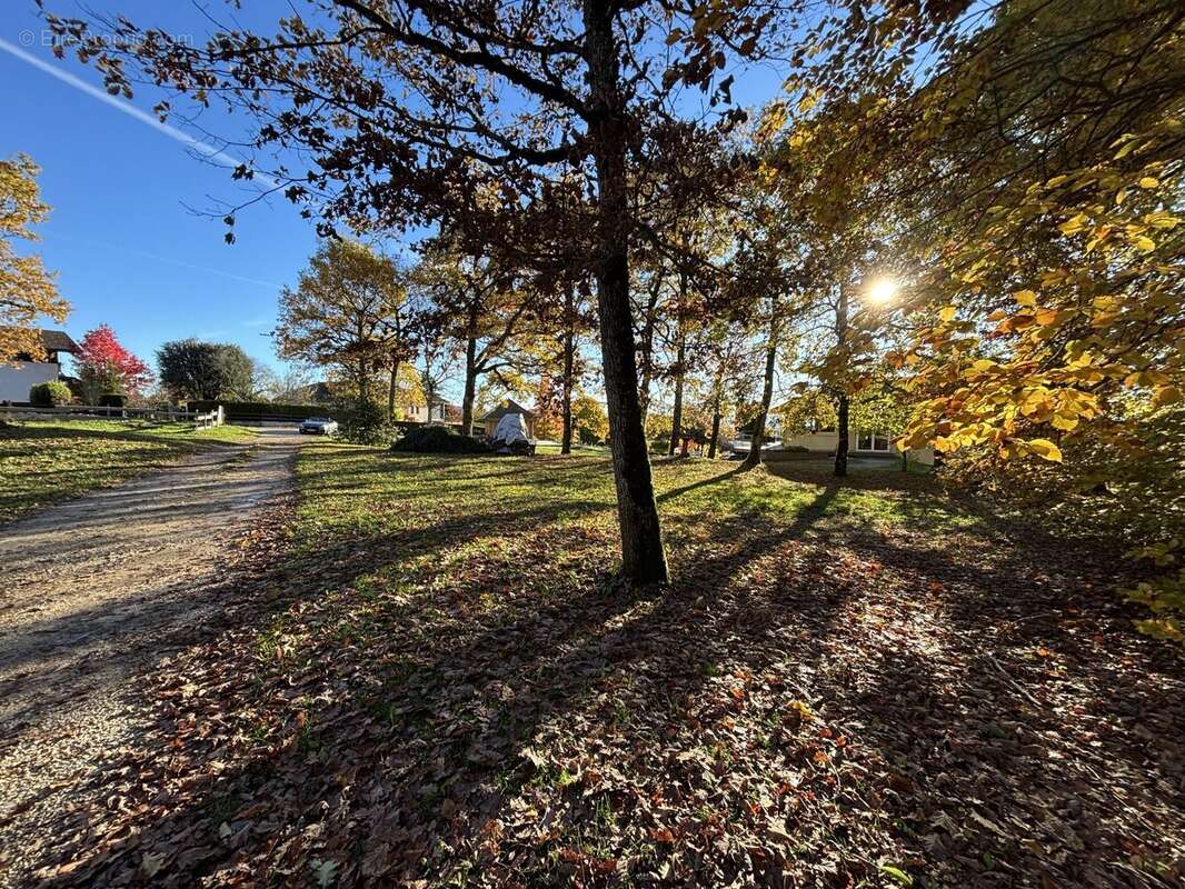 Terrain à CRUSEILLES