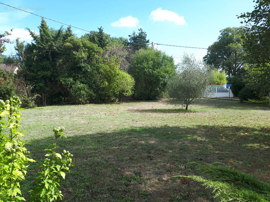 Maison à AVAILLES-EN-CHATELLERAULT