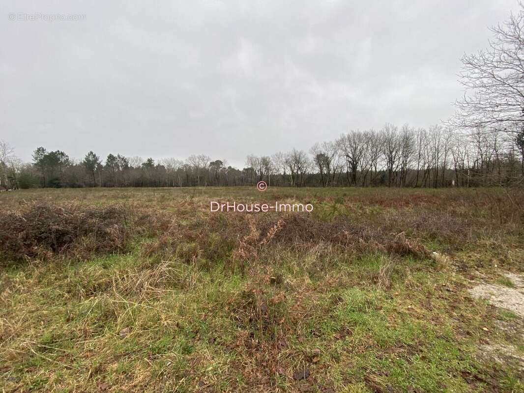 Terrain à SAINT-MEDARD-EN-JALLES