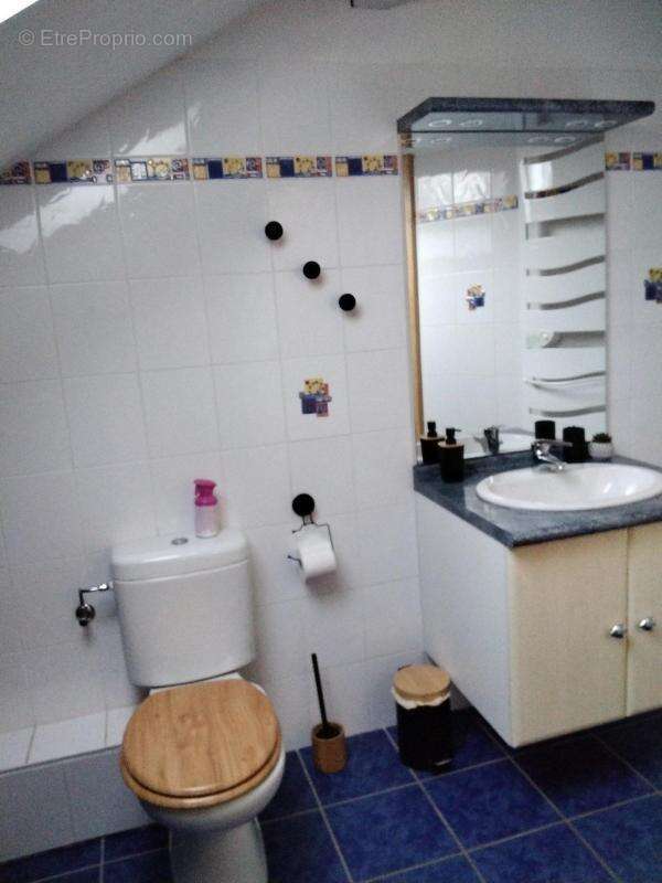 Exclusivité à champs le duc superbe maison - photo 7