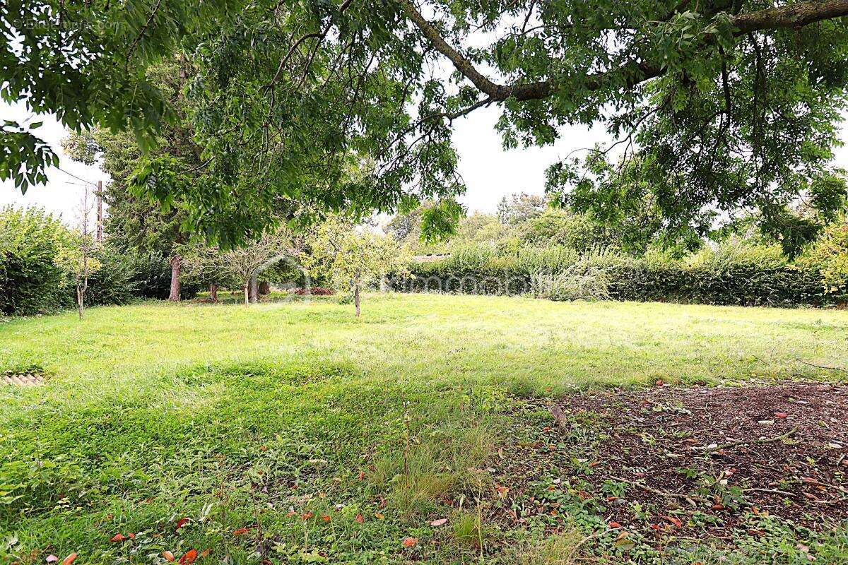 Abancourt - grand terrain à bâtir  2258 m² - plat et arboré - photo 3