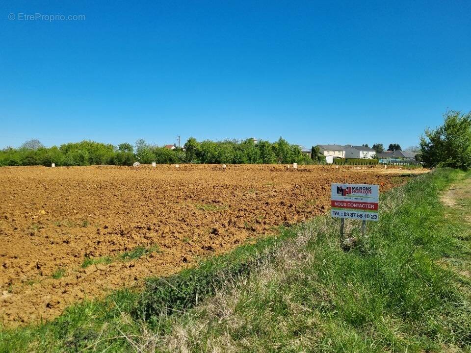 Terrain à HAUCOURT-MOULAINE