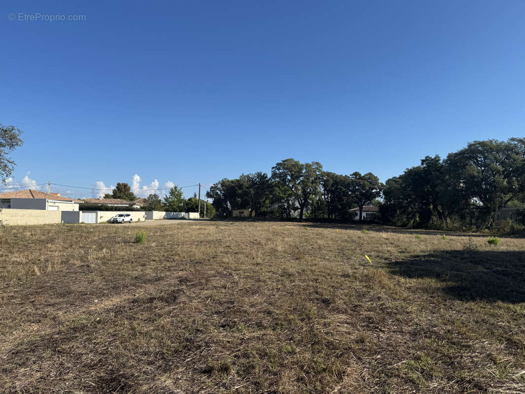 Terrain à GHISONACCIA