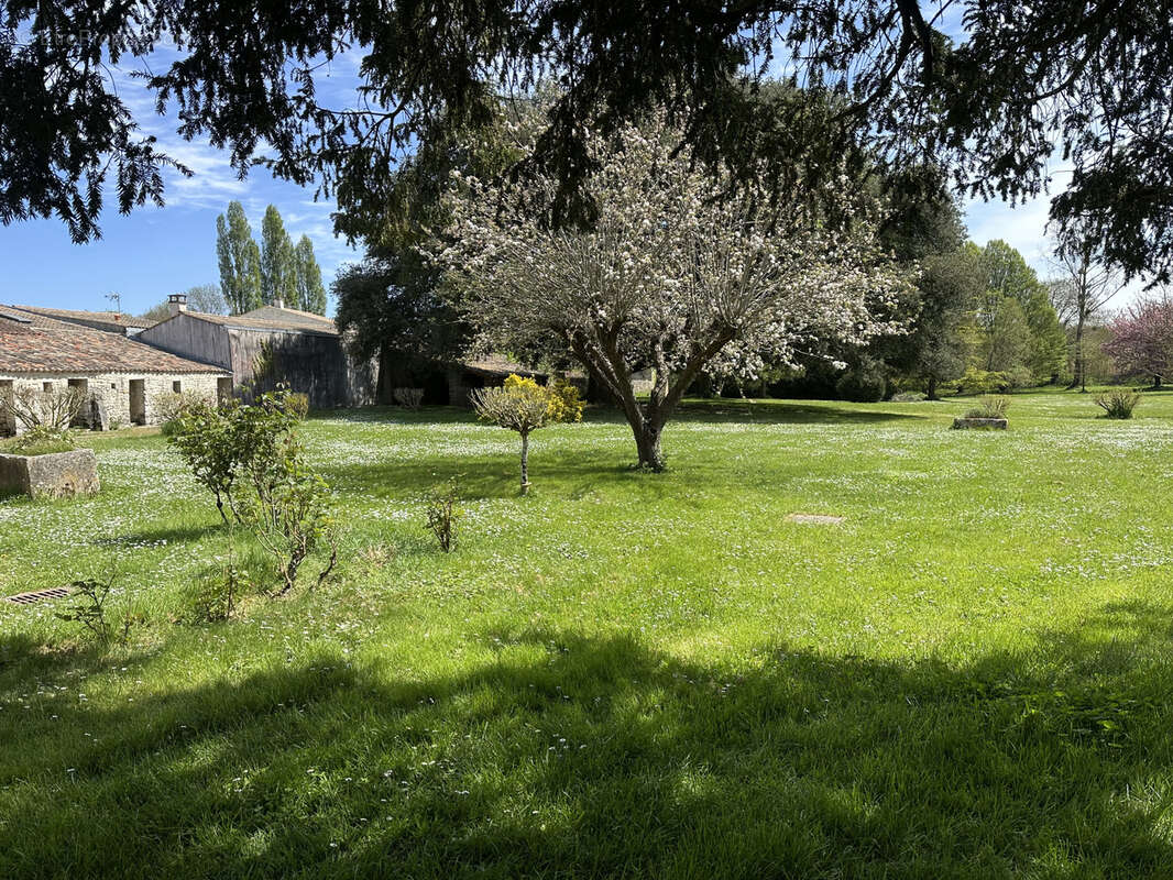 Maison à SAINT-ROMAIN-DE-BENET