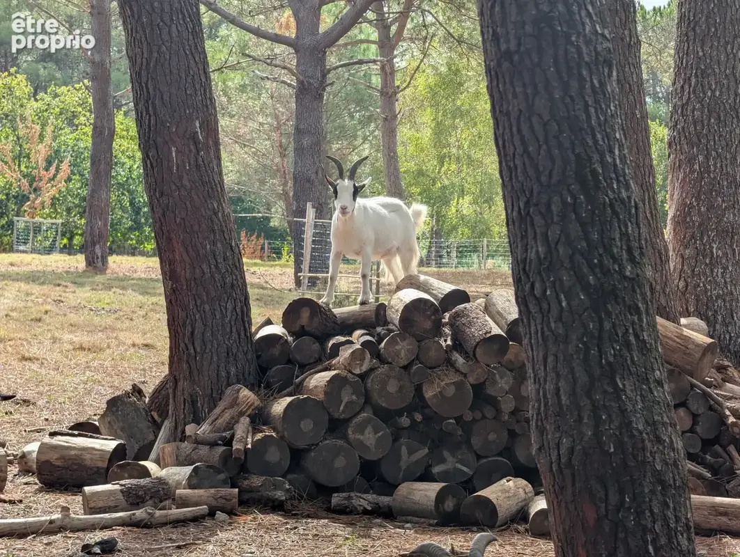 Bulle de nature - photo 6