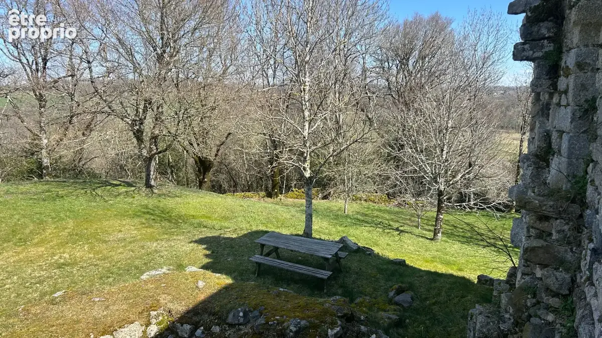 Manoir du XIVe siècle : Authenticité, Air pur et Golf entre l'Aubrac et les Monts du Cantal - photo 8