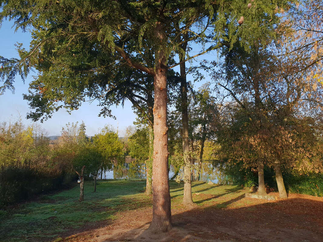 Terrain à CHATELLERAULT