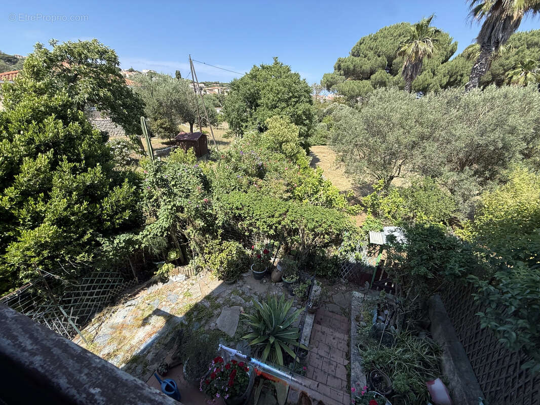 Appartement à CALVI
