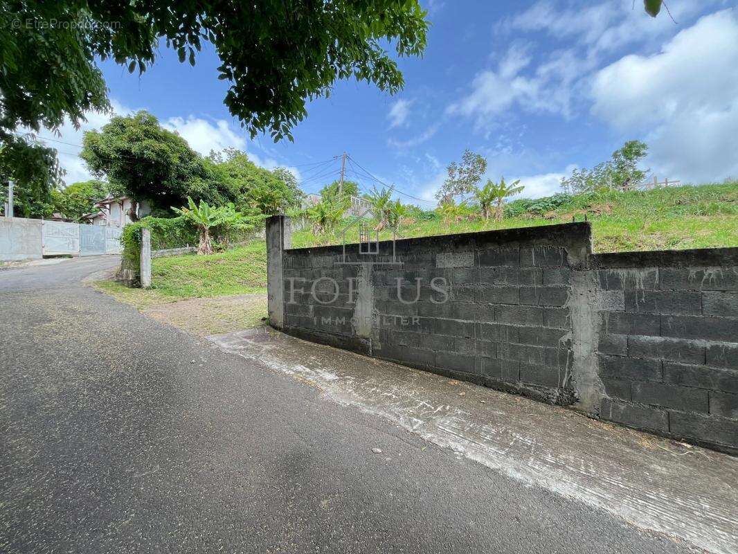 A VENDRED : Terrain 545m² GOURBEYRE (97113) - photo 5