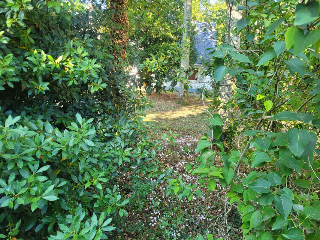 Maison à SAINT-AVERTIN