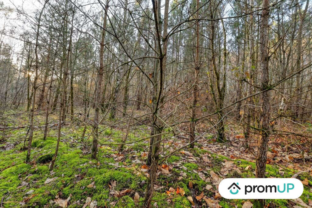 Terrain à CHATILLON-SUR-CHER