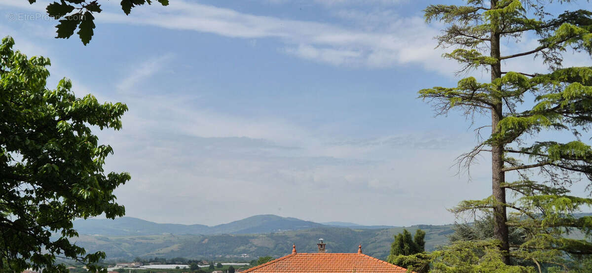 Terrain à SAINT-MAURICE-L'EXIL