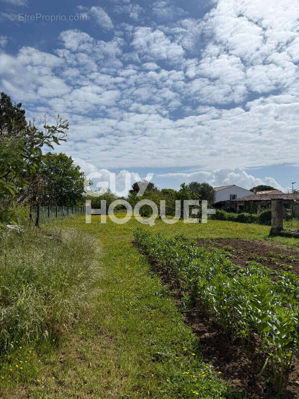 Maison à DOLUS-D'OLERON