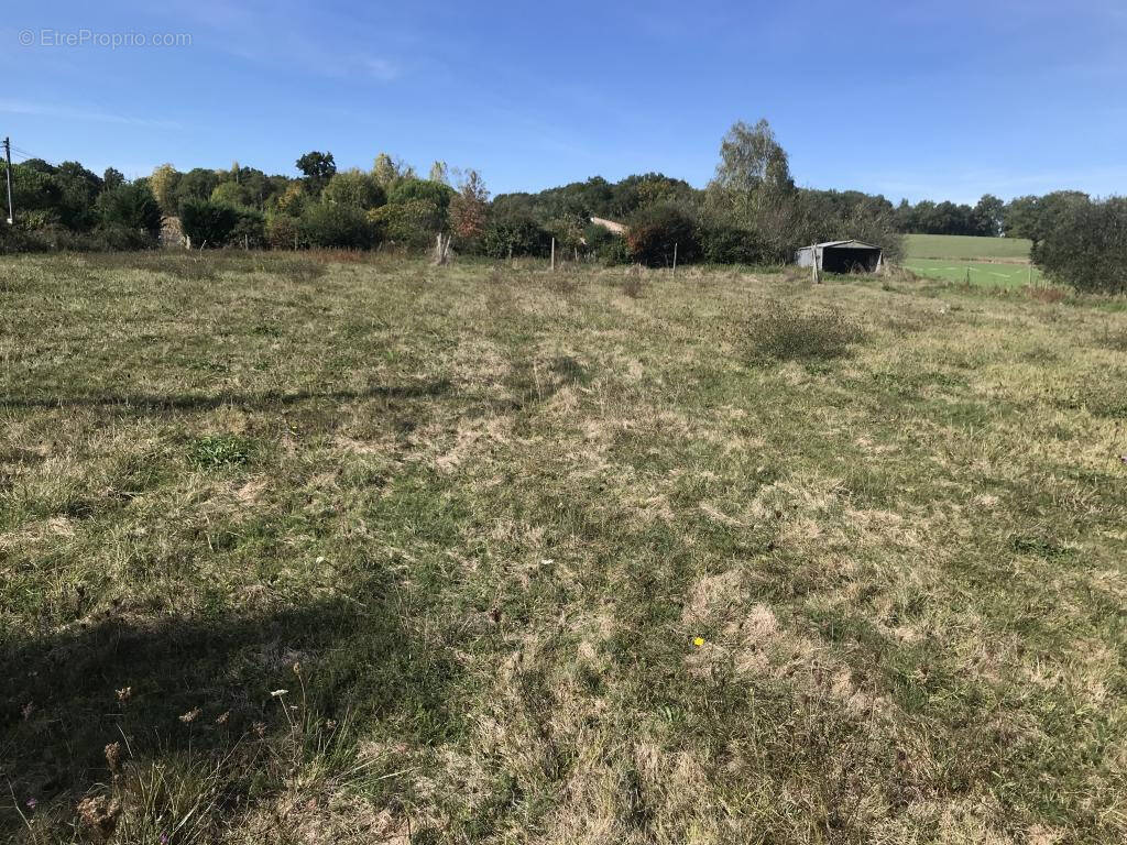 Terrain à L'ISLE-EN-DODON