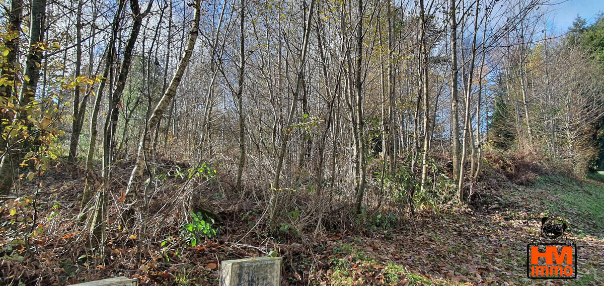Terrain à LADIGNAC-LE-LONG
