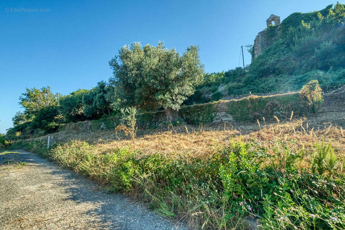 Terrain à BRANDO