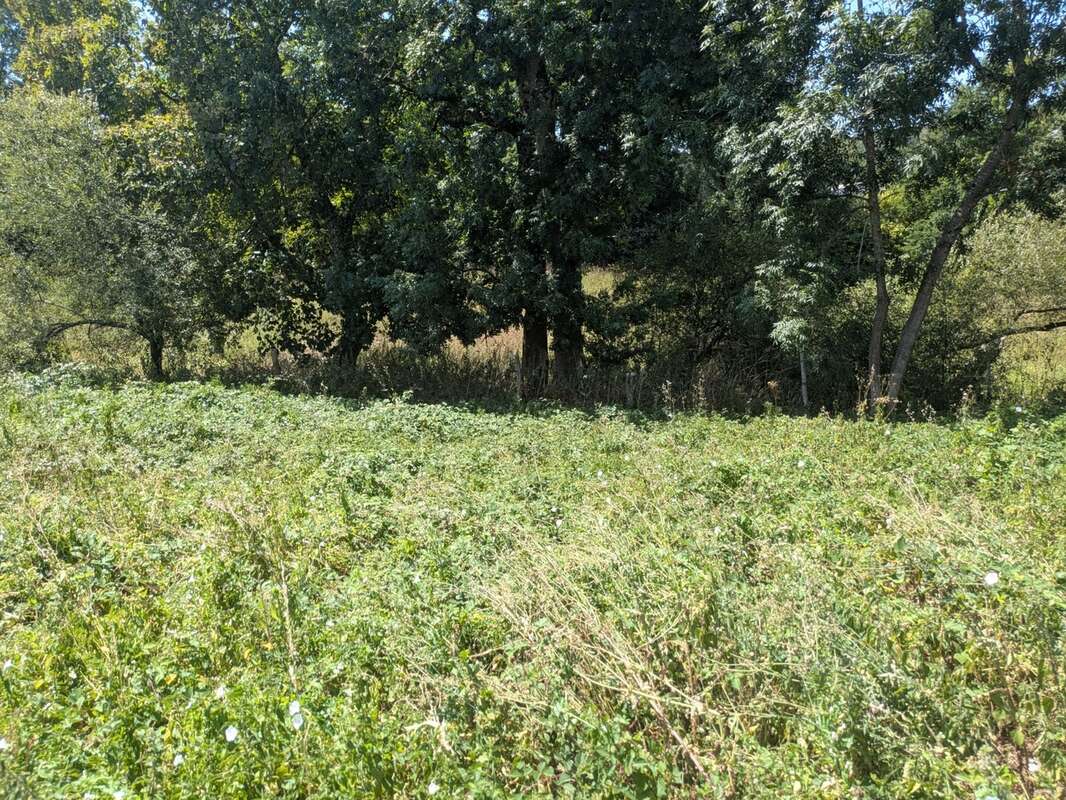 Guemene sur scorff longère de 180m² environ 3 pièces parcelle de 1087m² environ - photo 14