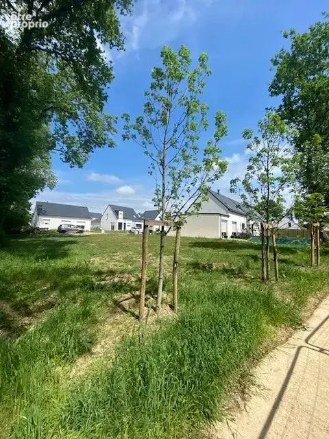 Terrain a batir 362m² pluvigner - photo 1