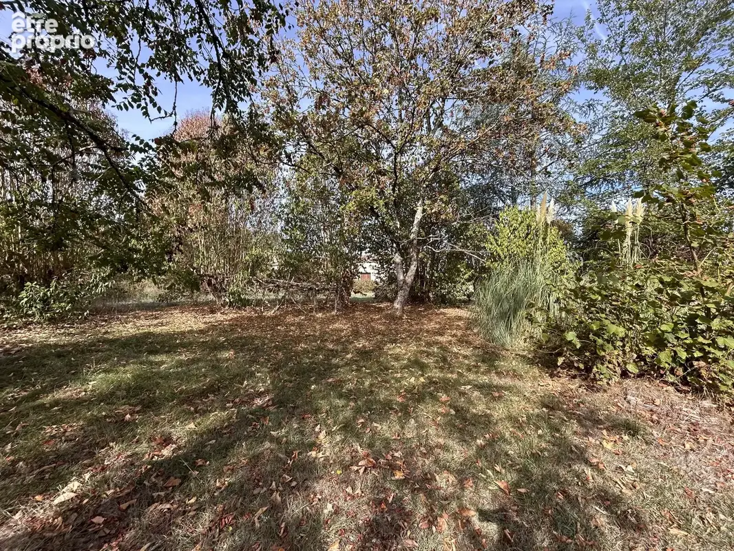 SAINT REMY : Maison de plain-pied de 150 m² à restaurer sur 5 051 m² de terrain - photo 16
