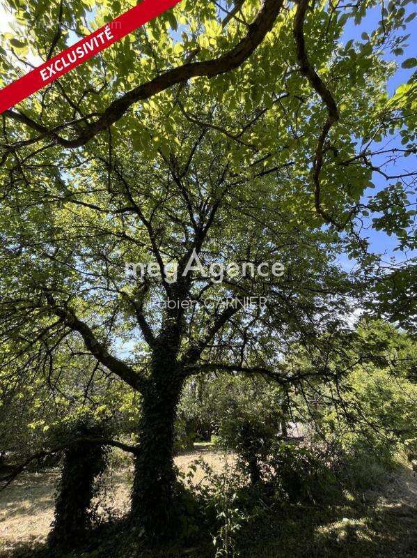 Terrain à MARTIGNE-BRIAND