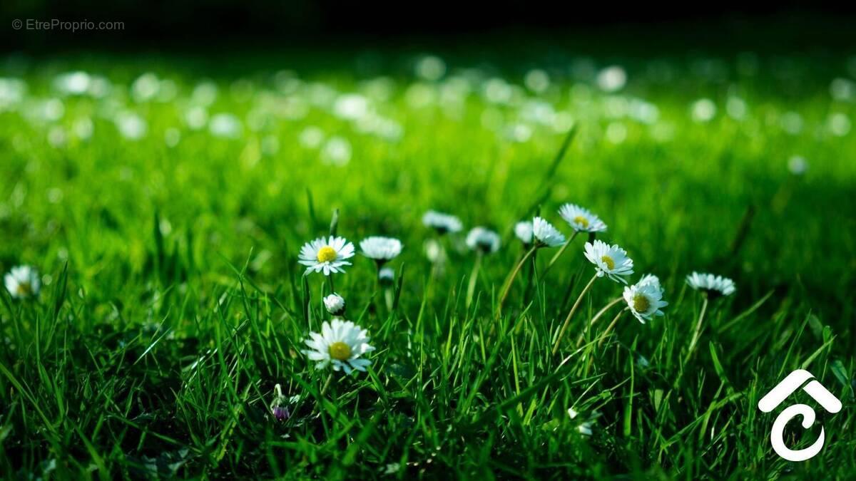 Terrain à SAINT-HILAIRE-SAINT-MESMIN