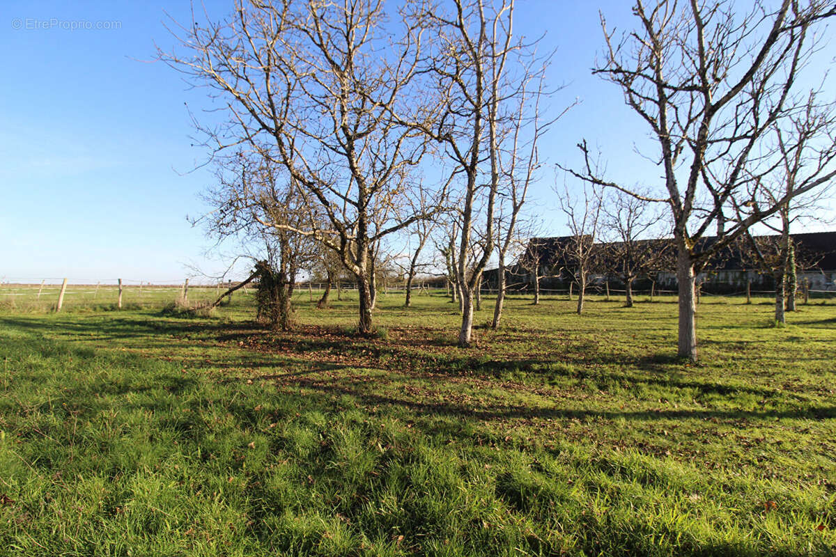 Terrain à MONTEAUX