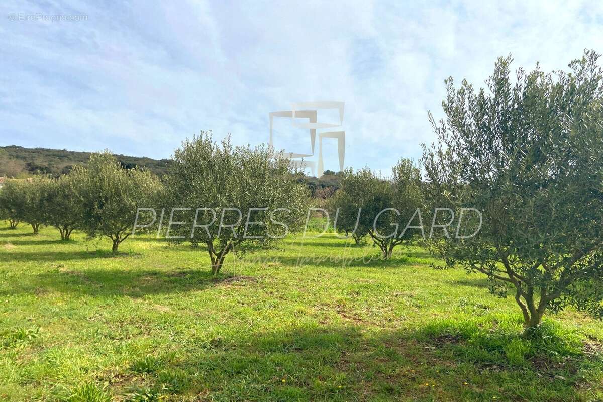 Terrain à SAINT-MAXIMIN