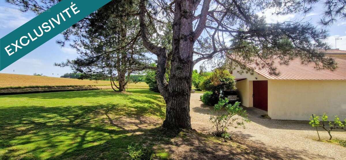 Photo 7 - Maison à LE MAS-D'AGENAIS